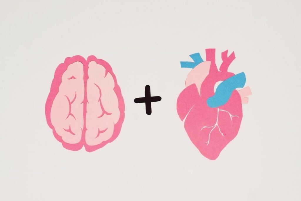 Brain plus Heart